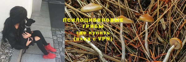 прущие крисы Богданович