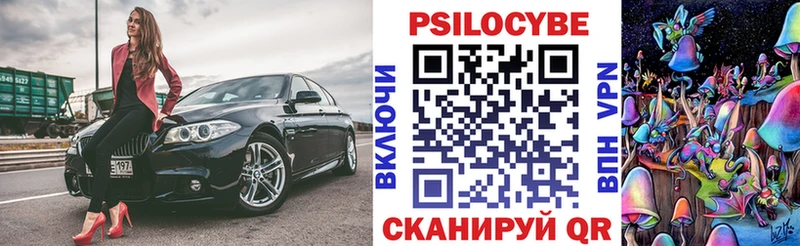 darknet клад  Красноуфимск  Псилоцибиновые грибы Psilocybe 